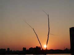 -上海山野camping·户外天幕烧烤·团建拓展营地