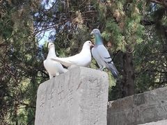 -峄山风景名胜区