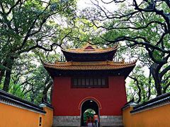-普陀山风景名胜区-法雨禅寺