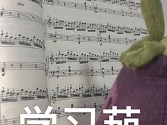 -MusicLife音乐(浦东校区)