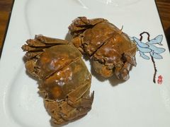 -呼吸森林·生态农庄农家乐私房菜