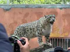 -青藏高原野生动物园