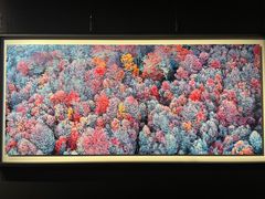 -罗红摄影艺术馆