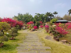-盈香心动乐园