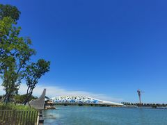 -宁波杭州湾国家湿地公园