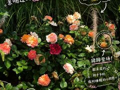 -厦门园林博览苑