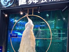 -雀舞云南菜(乐客城店)