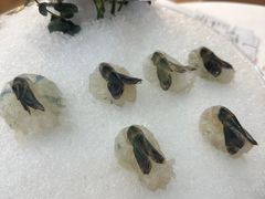 -丰尔粥食·顺德鱼生·干蒸排骨顺德菜(大良分店)