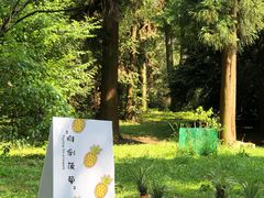 -杭州植物园