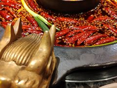 -蜀大侠火锅(建设路第五大道店)