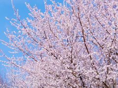 -太阳宫公园