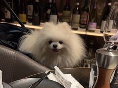 -wineapp葡萄酒餐吧(外滩金融中心店)