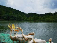 -宁波野生动物园