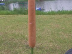 -滆湖低碳生态公园