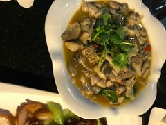 -云中小雅