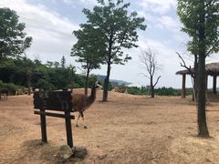 -杭州野生动物世界