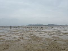 -红树林天天赶海