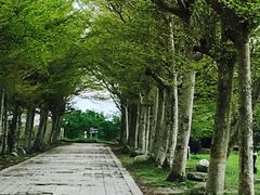 -瑞穗牧场