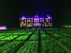 -广州花之恋城堡酒店