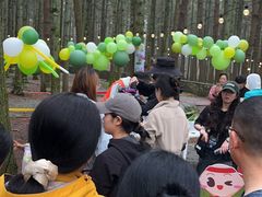 -重庆睡佛山森林公园