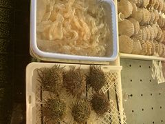 -大湾区中央湿地公园-十九涌