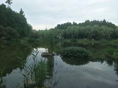 -新江湾城公园