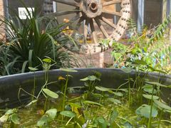 -新疆狼爷烤肉(宋庄店)