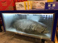 -御唐府海珊瑚主题餐厅