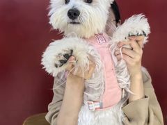 -贺记东北烧烤(夫子庙总店)