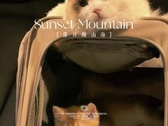 -翊宠yipet猫狗购宠庄园犬舍•猫舍