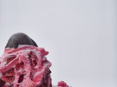 -终南山国家森林公园