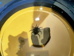 -湖南省地质博物馆