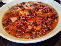 -陈麻婆豆腐总店