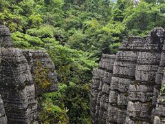 -梭布垭石林景区