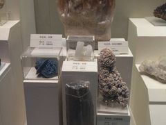 -天津自然博物馆