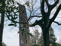 -上海佘山国家森林公园天马山园