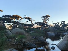 -罗红摄影艺术馆