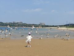 -海驴岛(荣成市)