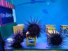 -上海海昌海洋公园