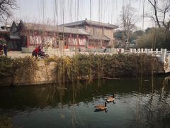 景点-北京动物园