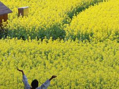 -中国天府农业博览园