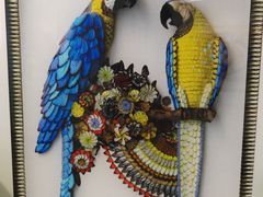 -上海昆虫博物馆