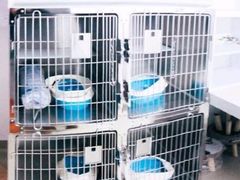 -纳吉亚猫专科动物医院·北北分院