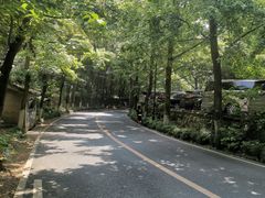 -龙井村