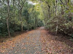 -上海海湾国家森林公园