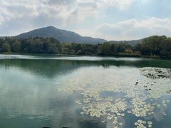 -一江春水·杭帮臻宴(三台山店)