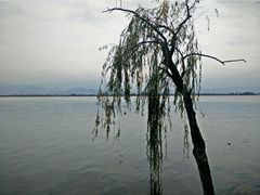 android_upload_pic-西昌邛海湿地