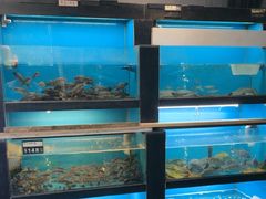 -曾牛土菜(捷瑞达店)