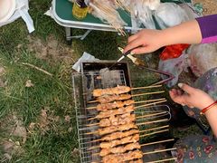 -天津武清北运河郊野公园房车露营地