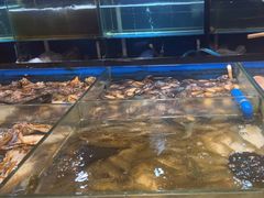 -川骄海鲜自助(亚运村店)